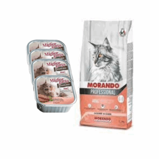 "Croquette Morando & 4 Barquettes Miglior Gatto Au Saumon "